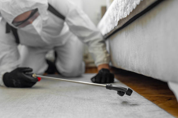 Professional Termite Control technician working in Roosevelt, UT