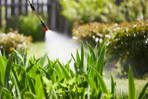 24/7 Emergency Termite Control experts in Roosevelt, UT
