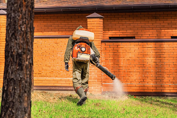 Trusted Rodent Control service in Roosevelt, UT - Nex Pest Control